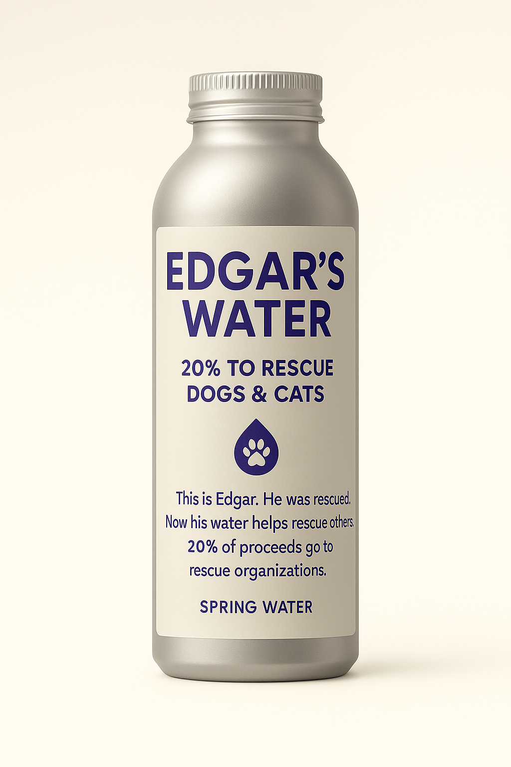 Edgar's Water aluminum bottle